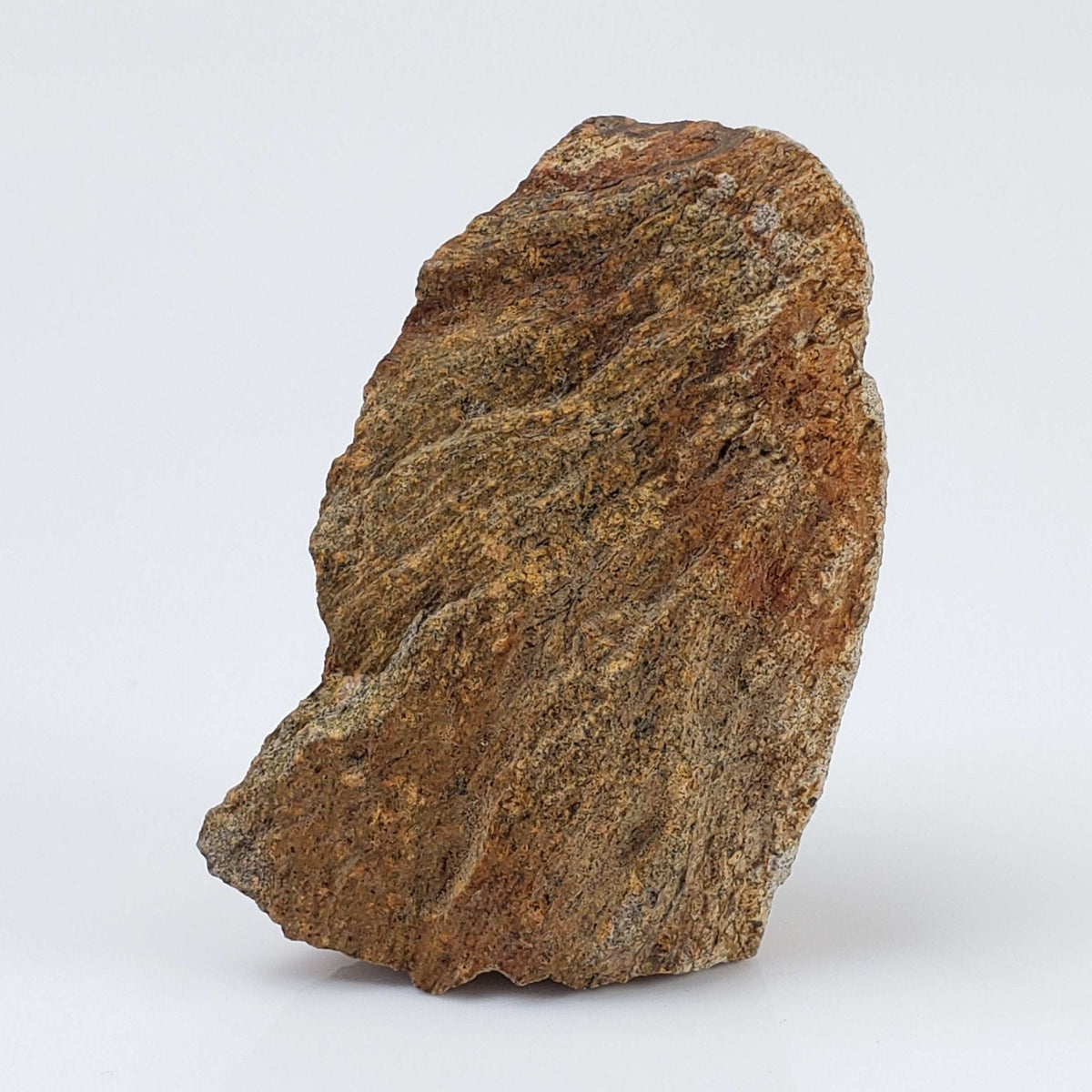  Shatter Cone Impactite | 19.6 grams | Rochechouart Impact Structure | Montoume, France | SO24 5