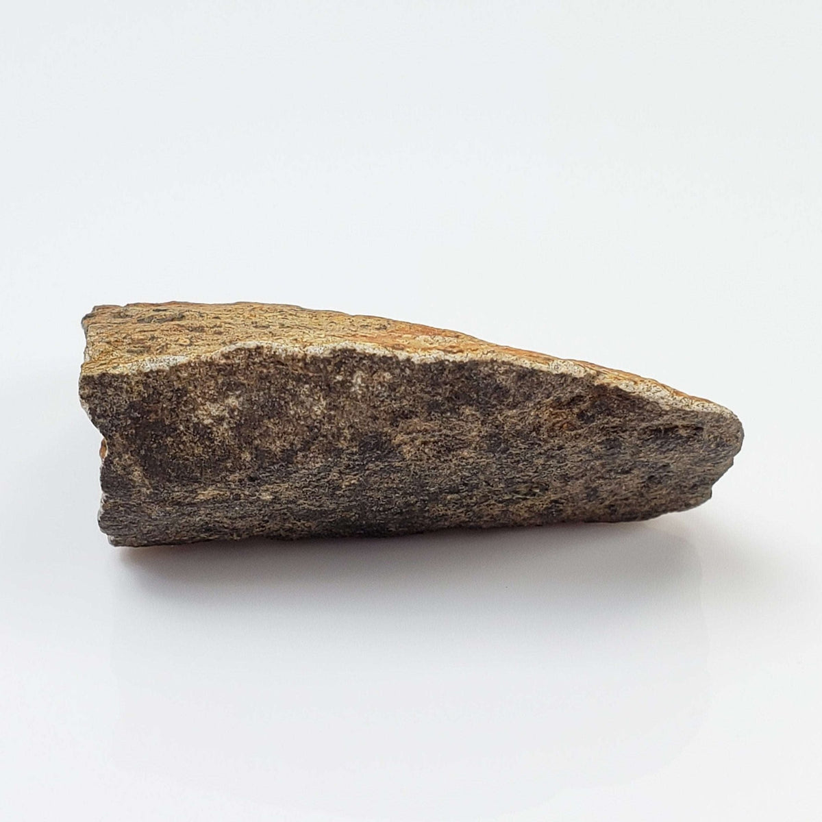  Shatter Cone Impactite | 19.6 grams | Rochechouart Impact Structure | Montoume, France | SO24 7