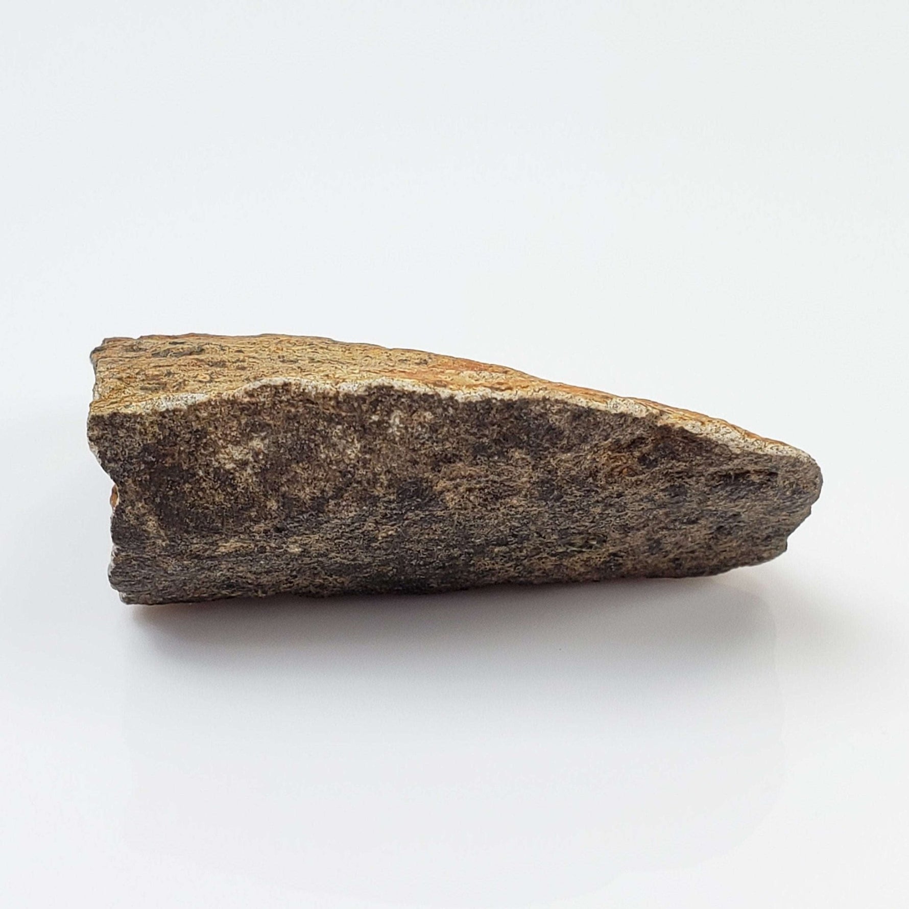  Shatter Cone Impactite | 19.6 grams | Rochechouart Impact Structure | Montoume, France | SO24 7