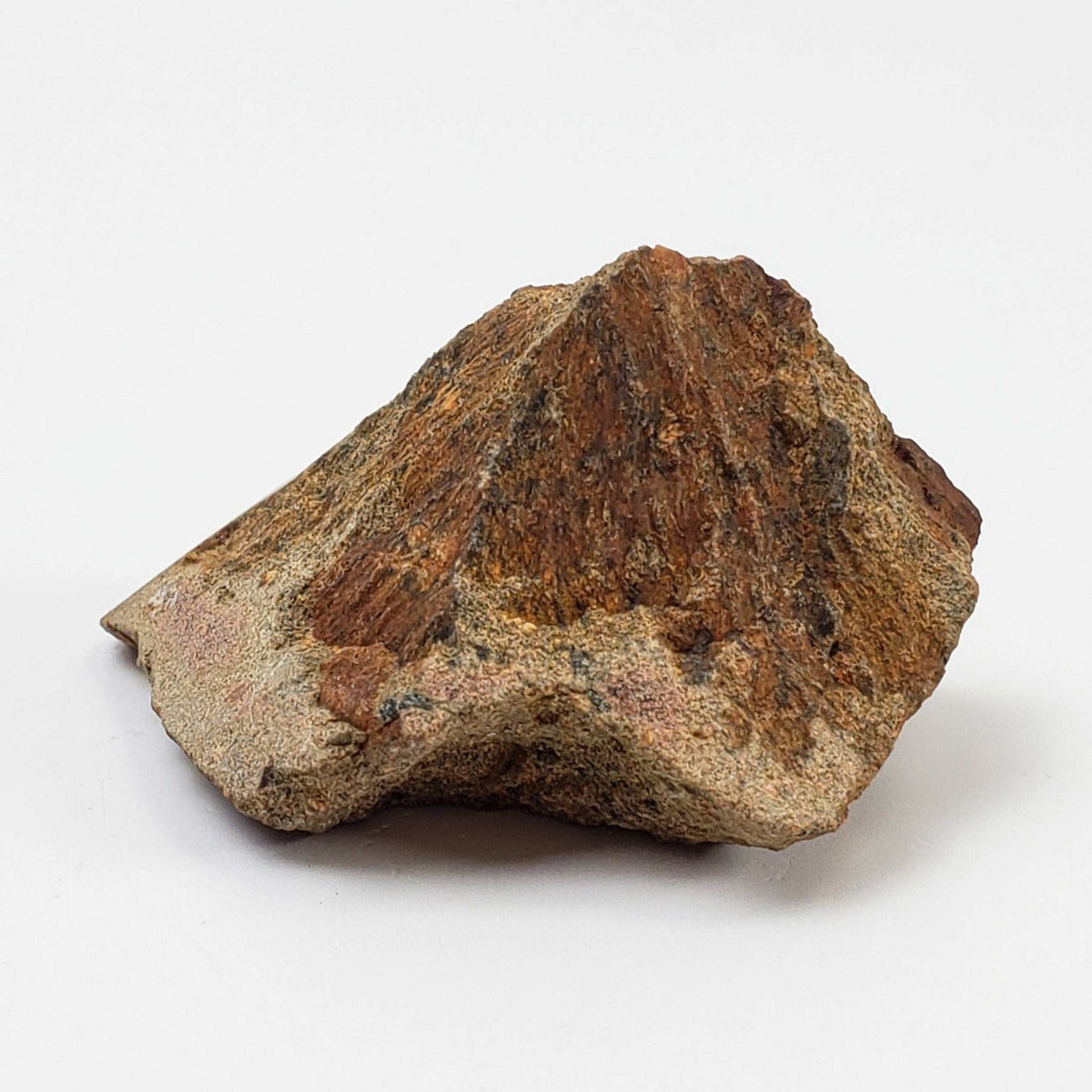  Shatter Cone Impactite | 24.79 grams | Rochechouart Impact Structure | France | SO24 5