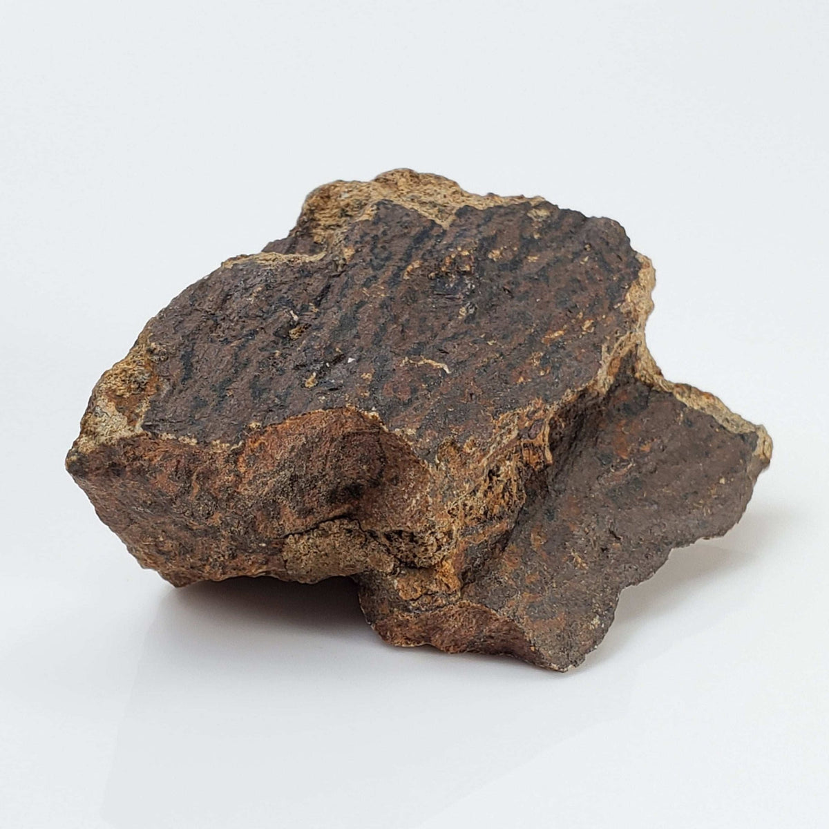  Shatter Cone Impactite | 31.57 grams | Rochechouart Impact Structure | Montoume, France | SO24 1