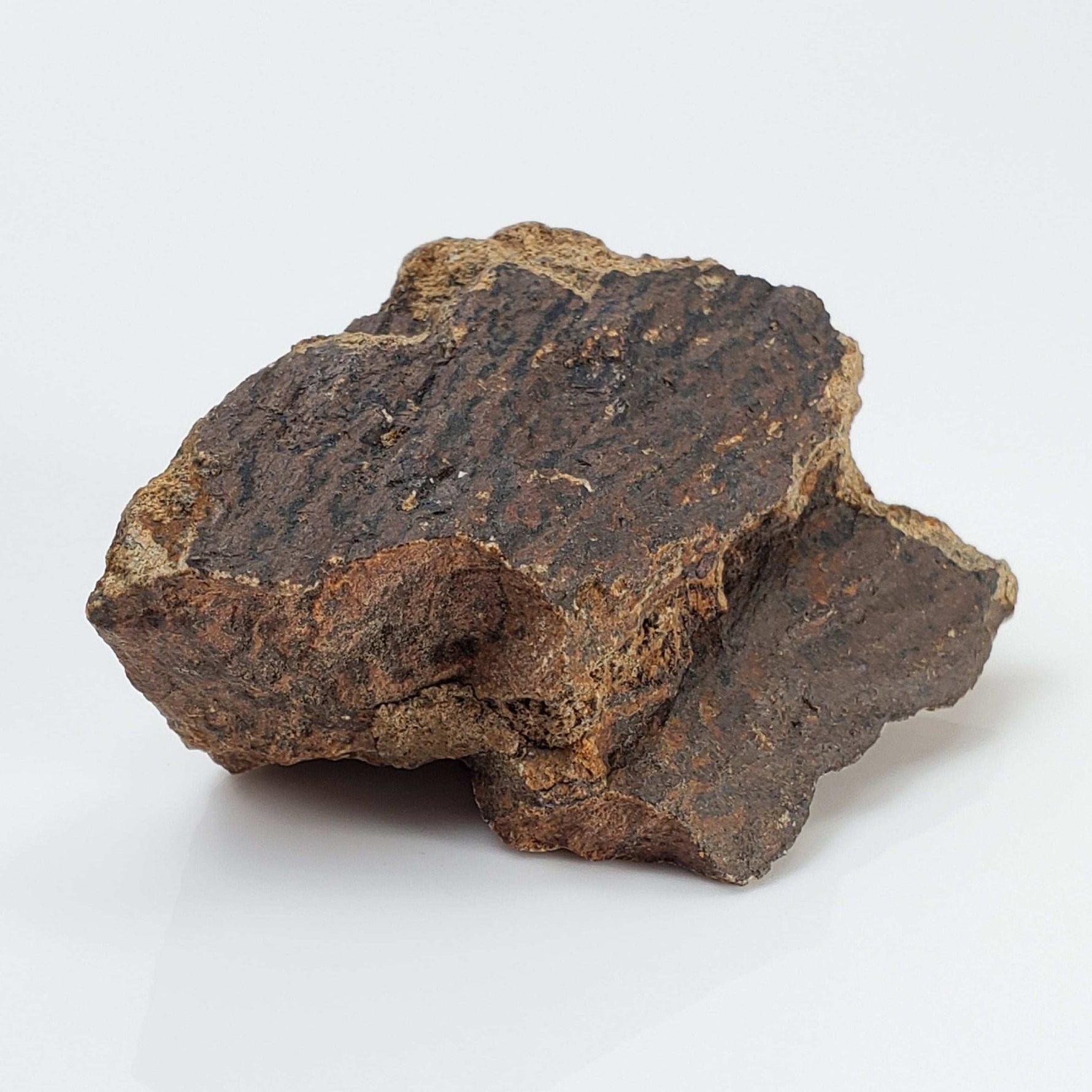  Shatter Cone Impactite | 31.57 grams | Rochechouart Impact Structure | Montoume, France | SO24 1
