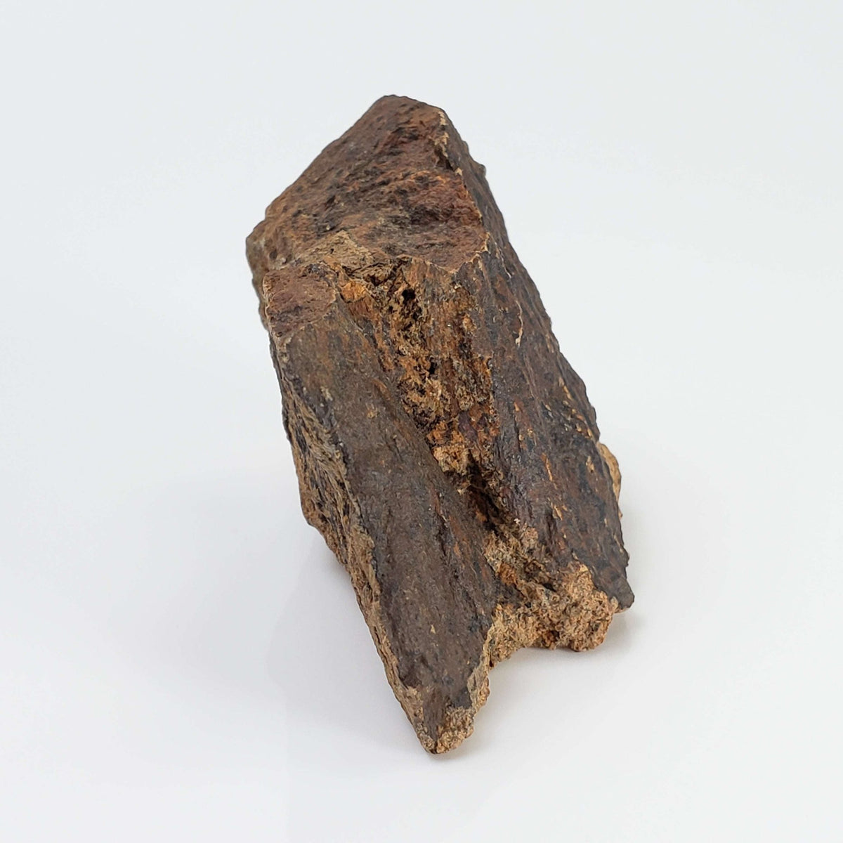  Shatter Cone Impactite | 31.57 grams | Rochechouart Impact Structure | Montoume, France | SO24 3