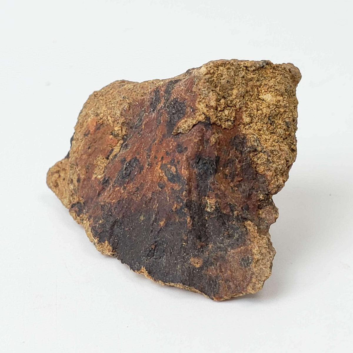  Shatter Cone Impactite | 7.8 grams | Rochechouart Impact Structure | France 4