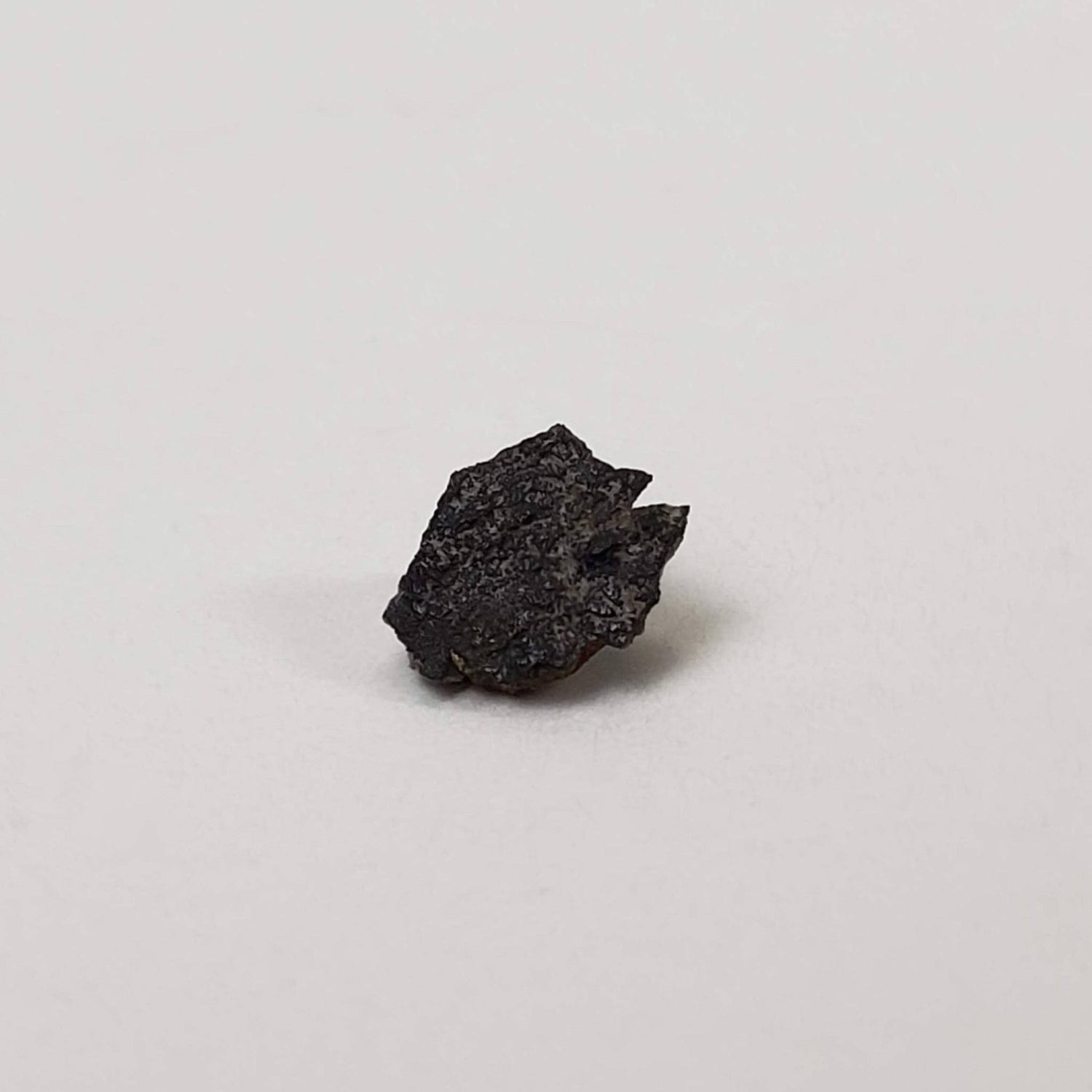 Shelburne Meteorite | 66 mg | Fragment | L5 Class | Observed Fall 1904 Canada | SO24 1