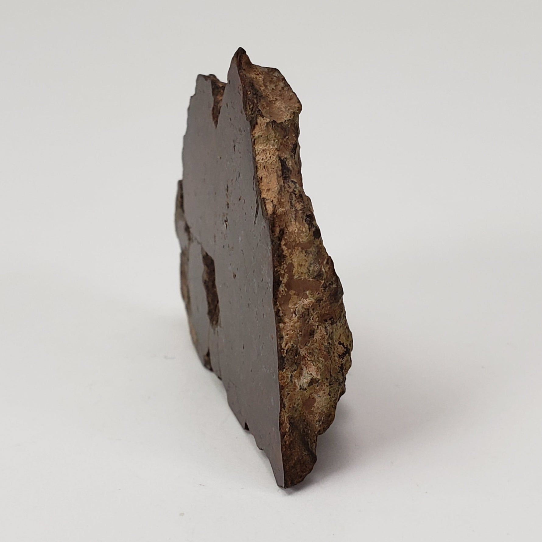  Shişr 010 Meteorite, 15 Grams, End Cut, L5 Chondrite, Rare, Shişr Desert, Oman SO24 5