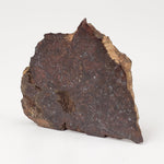  Shişr 010 Meteorite, 15 Grams, End Cut, L5 Chondrite, Rare, Shişr Desert, Oman SO24 7