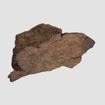  Shişr 010 Meteorite | 3.8 Grams | Part Slice | L5 Chondrite | Rare | Shişr Desert, Oman 1