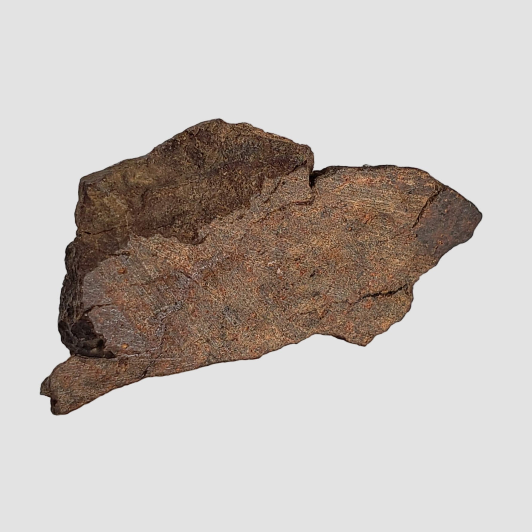  Shişr 010 Meteorite | 3.8 Grams | Part Slice | L5 Chondrite | Rare | Shişr Desert, Oman 1