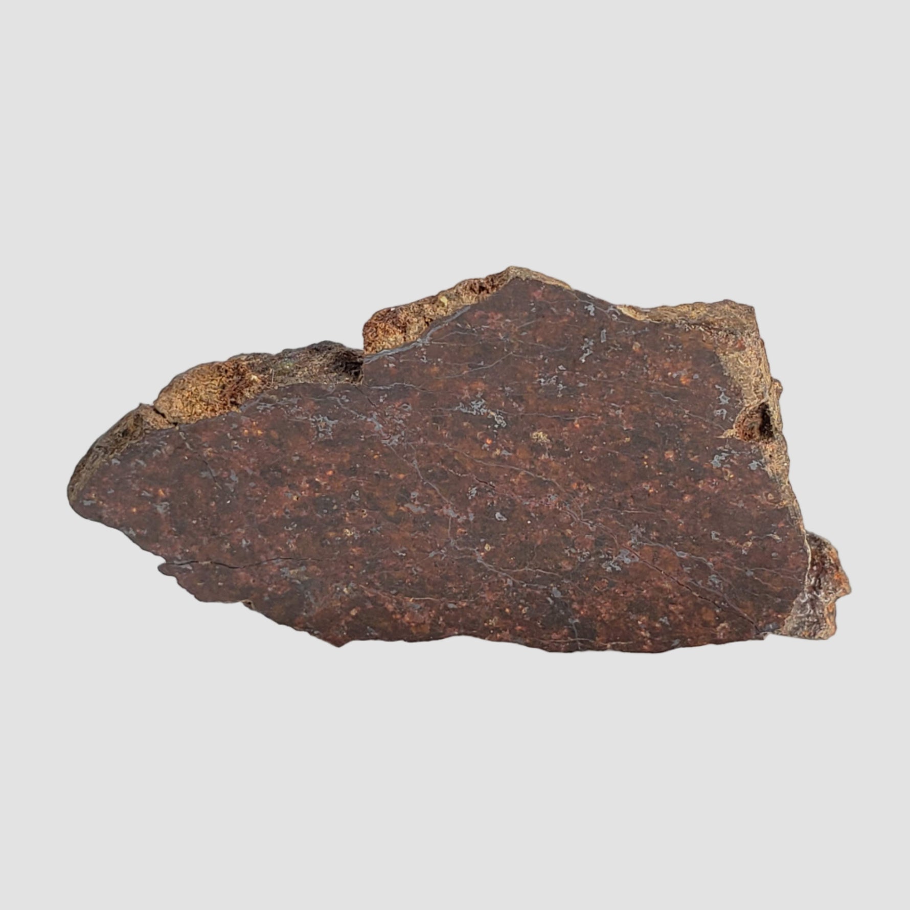  Shişr 010 Meteorite | 3.8 Grams | Part Slice | L5 Chondrite | Rare | Shişr Desert, Oman 2