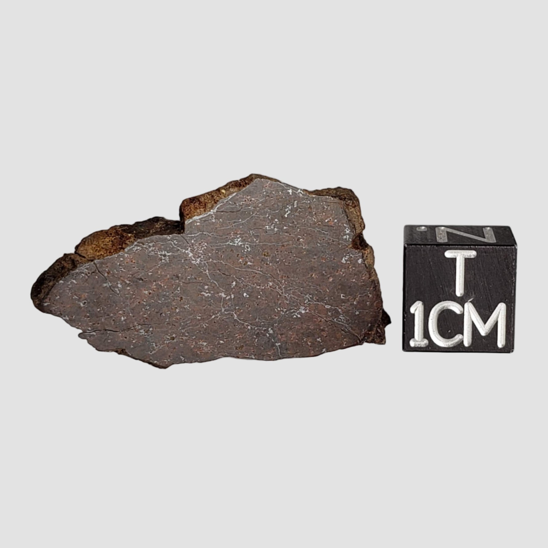  Shişr 010 Meteorite | 3.8 Grams | Part Slice | L5 Chondrite | Rare | Shişr Desert, Oman 