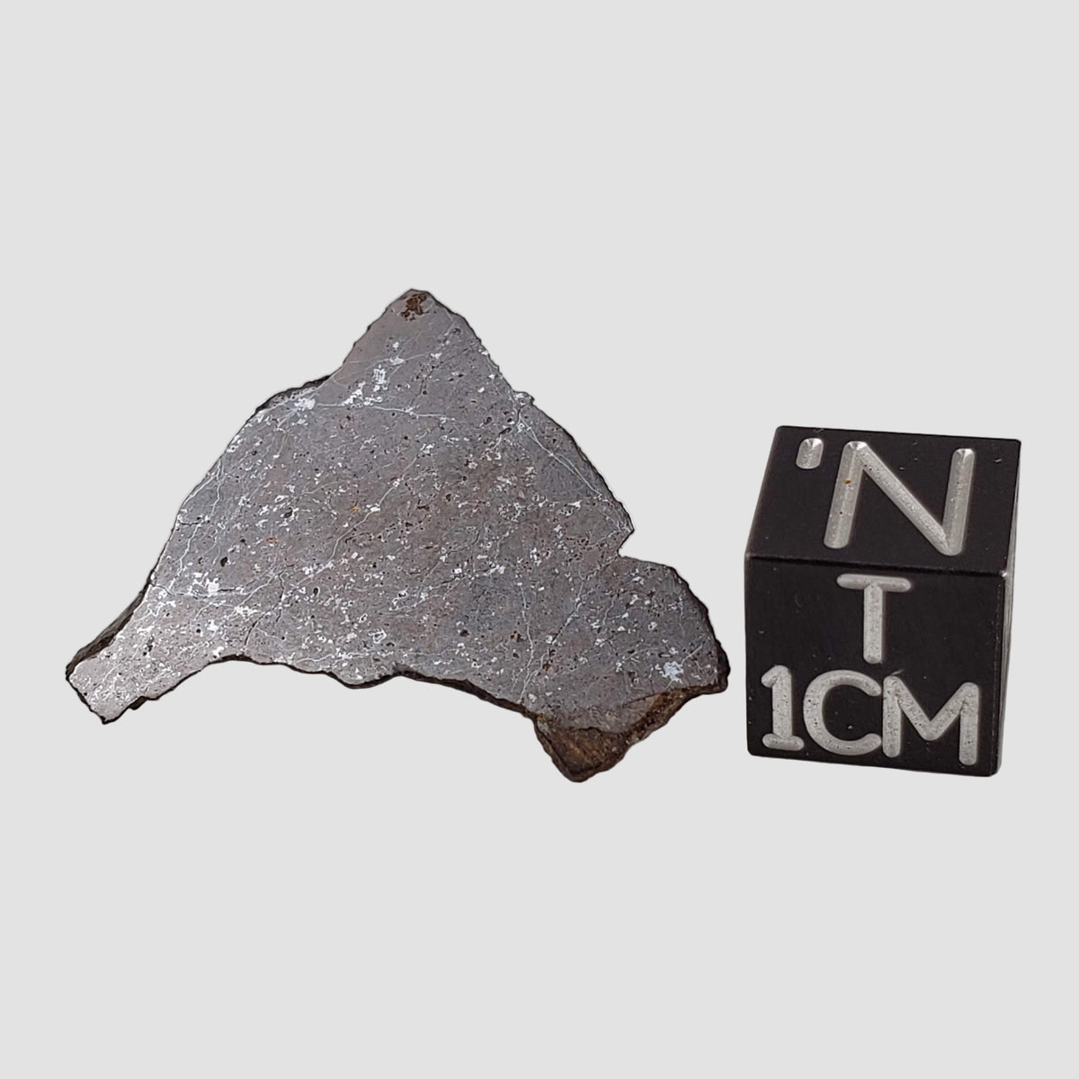  Shişr 010 Meteorite | 4.4 Grams | Part End Cut | L5 Chondrite | Rare | Shişr Desert, Oman 