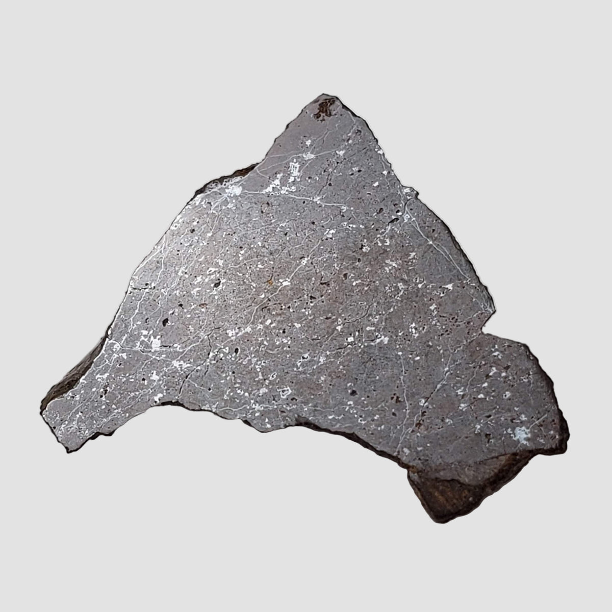  Shişr 010 Meteorite | 4.4 Grams | Part End Cut | L5 Chondrite | Rare | Shişr Desert, Oman 3