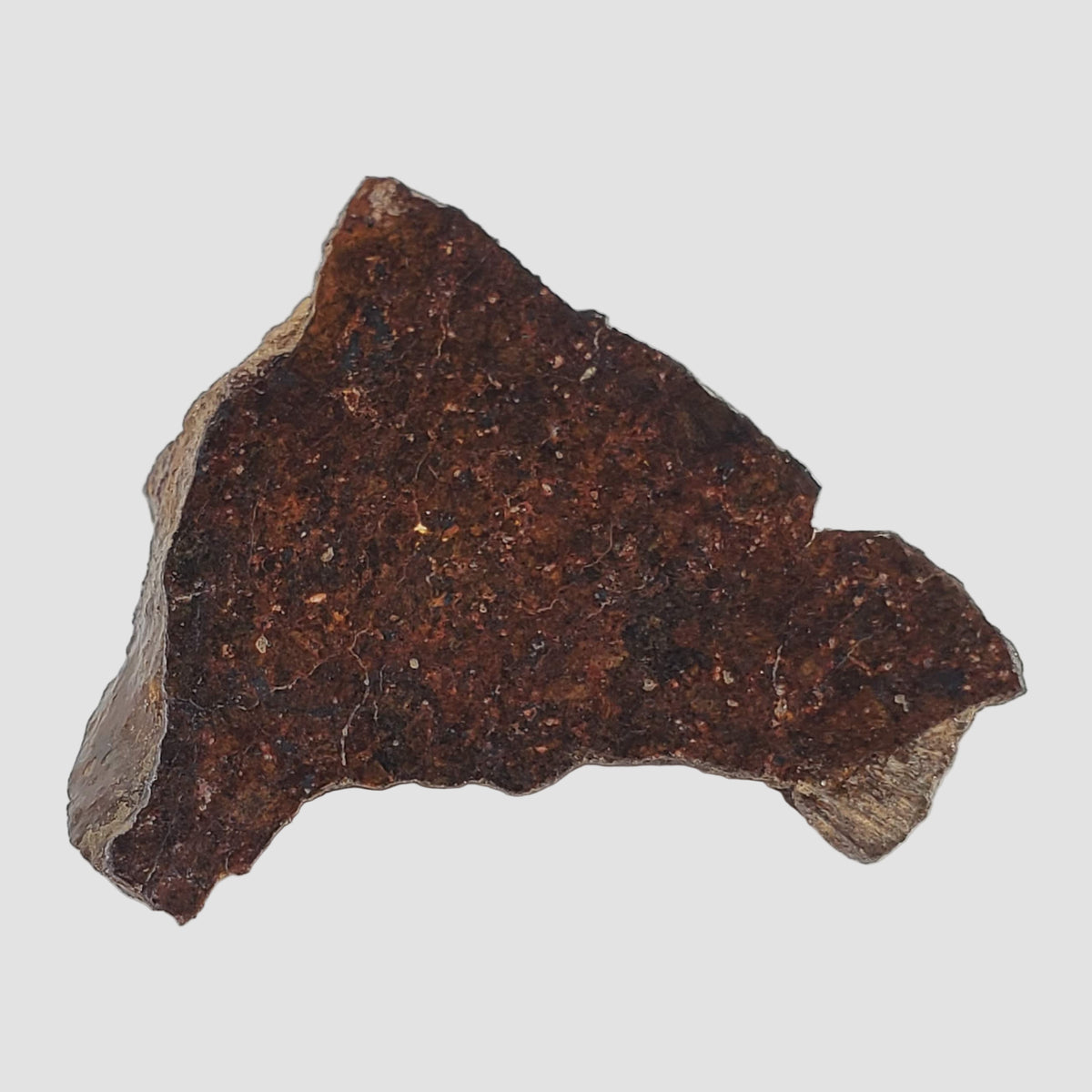  Shişr 010 Meteorite | 4.4 Grams | Part End Cut | L5 Chondrite | Rare | Shişr Desert, Oman 1