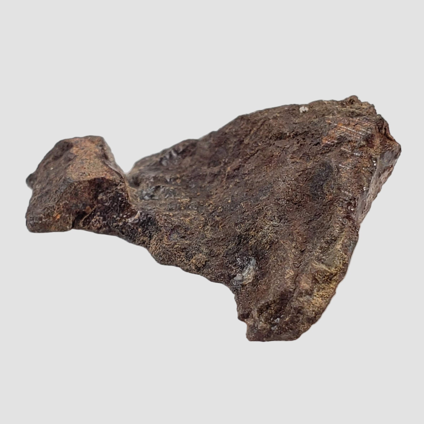  Shişr 010 Meteorite | 4.4 Grams | Part End Cut | L5 Chondrite | Rare | Shişr Desert, Oman 2