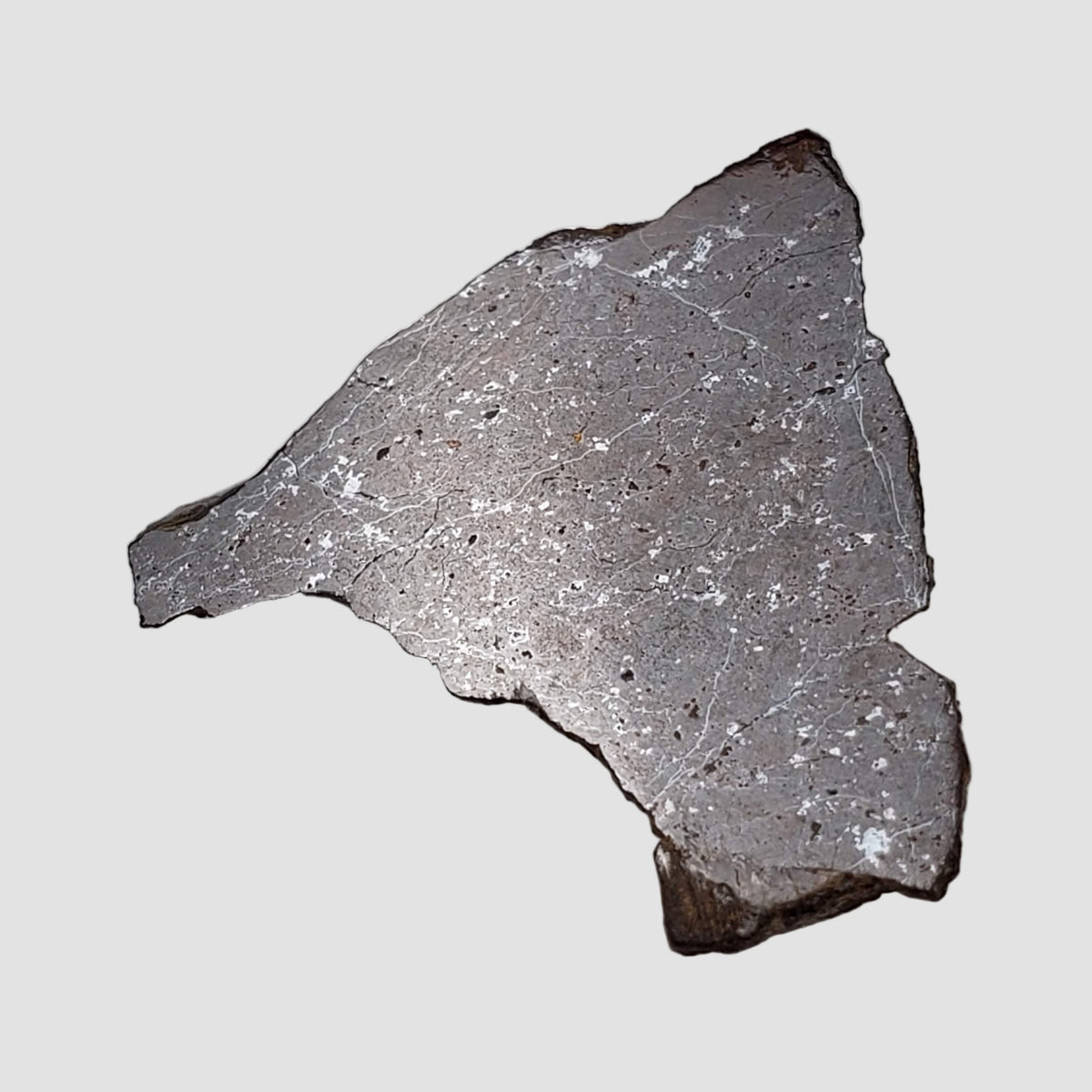  Shişr 010 Meteorite | 4.4 Grams | Part End Cut | L5 Chondrite | Rare | Shişr Desert, Oman 5