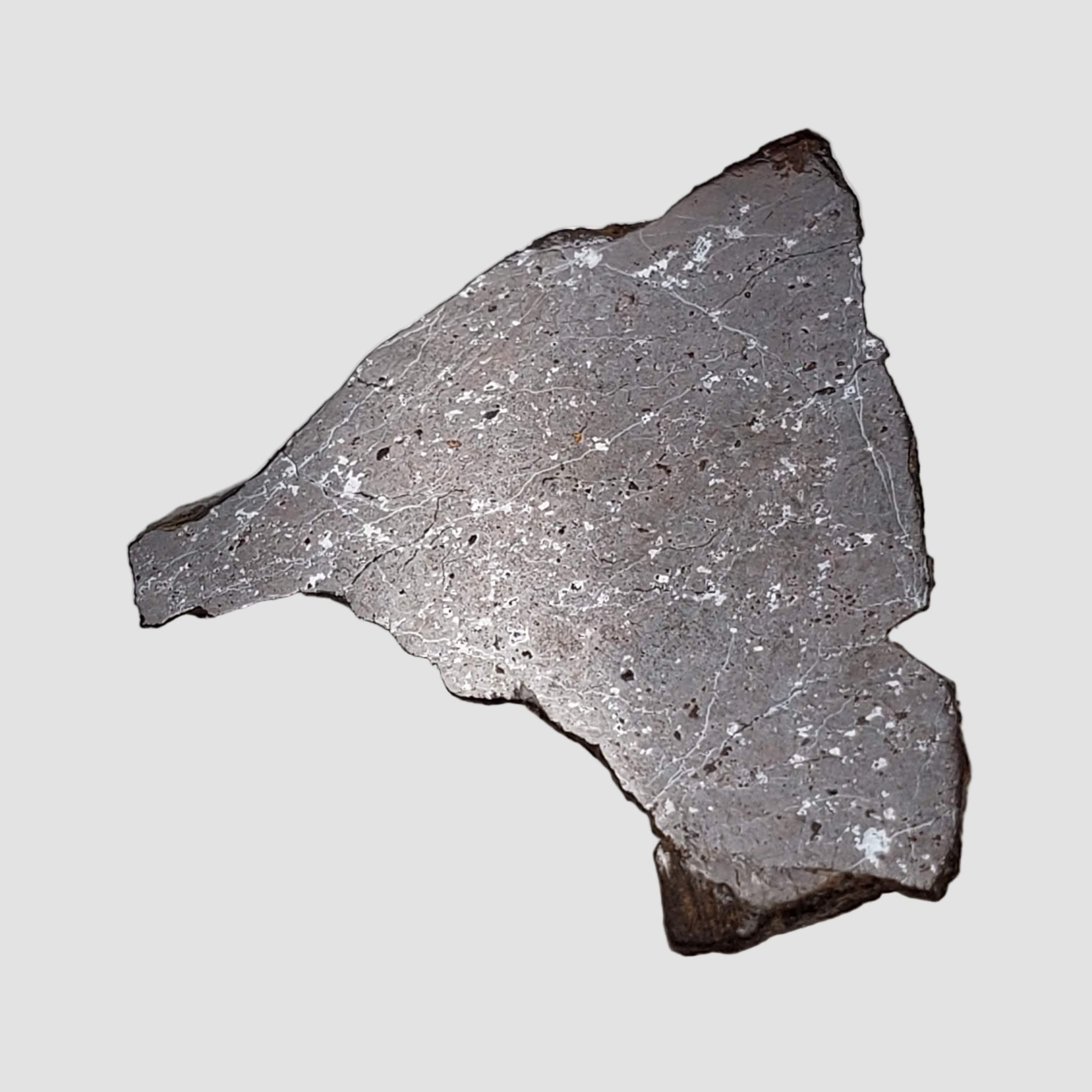  Shişr 010 Meteorite | 4.4 Grams | Part End Cut | L5 Chondrite | Rare | Shişr Desert, Oman 5