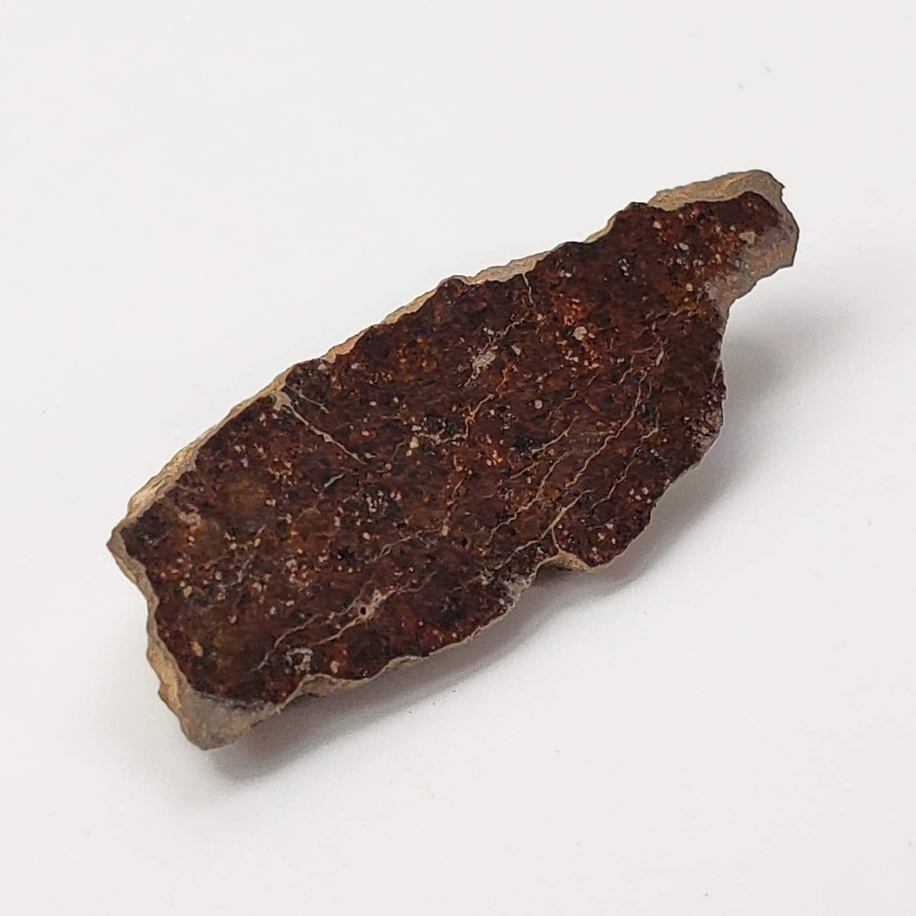  Shişr 010 Meteorite | 4 Grams | End Cut | L5 Chondrite | Rare | Shişr Desert, Oman | SO24 3
