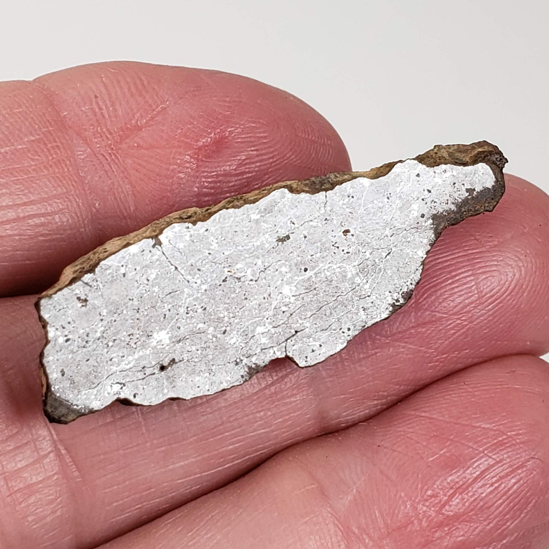  Shişr 010 Meteorite | 4 Grams | End Cut | L5 Chondrite | Rare | Shişr Desert, Oman | SO24 1