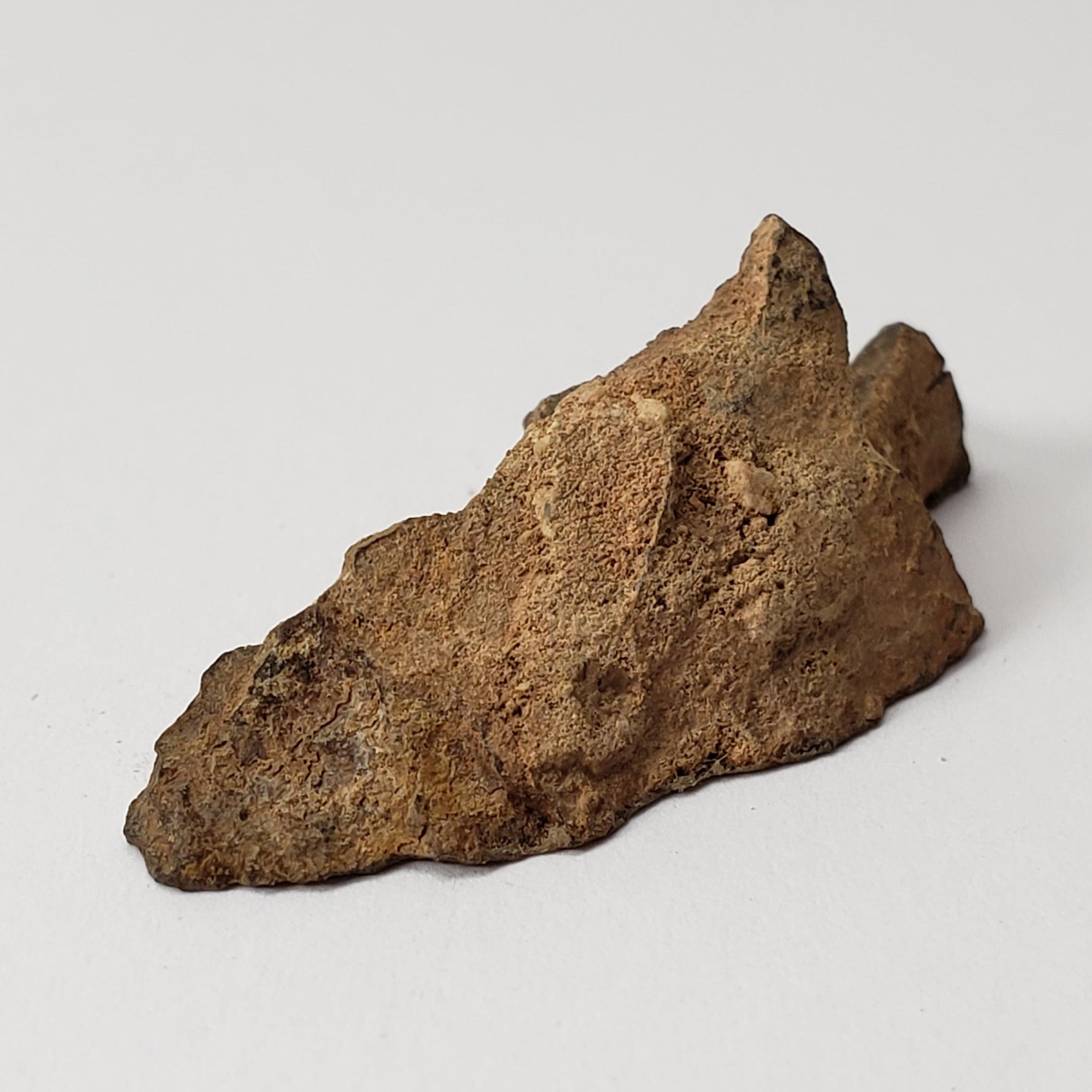  Shişr 010 Meteorite | 5.5 Grams | End Cut | L5 Chondrite | Rare | Shişr Desert, Oman | SO24 5