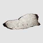  Shişr 010 Meteorite | 5.6 Grams | Slice | L5 Chondrite | Rare | Shişr Desert, Oman 3