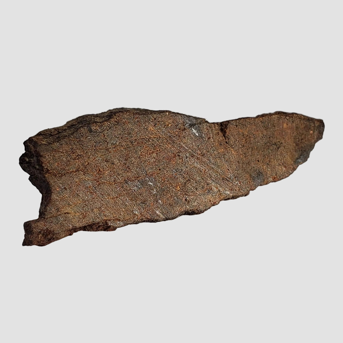  Shişr 010 Meteorite | 5.6 Grams | Slice | L5 Chondrite | Rare | Shişr Desert, Oman 2