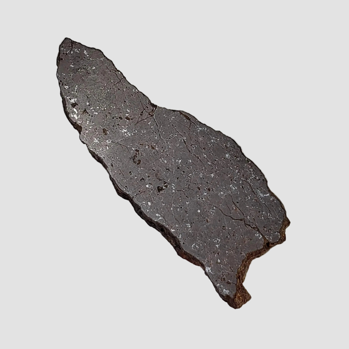  Shişr 010 Meteorite | 5.6 Grams | Slice | L5 Chondrite | Rare | Shişr Desert, Oman 4