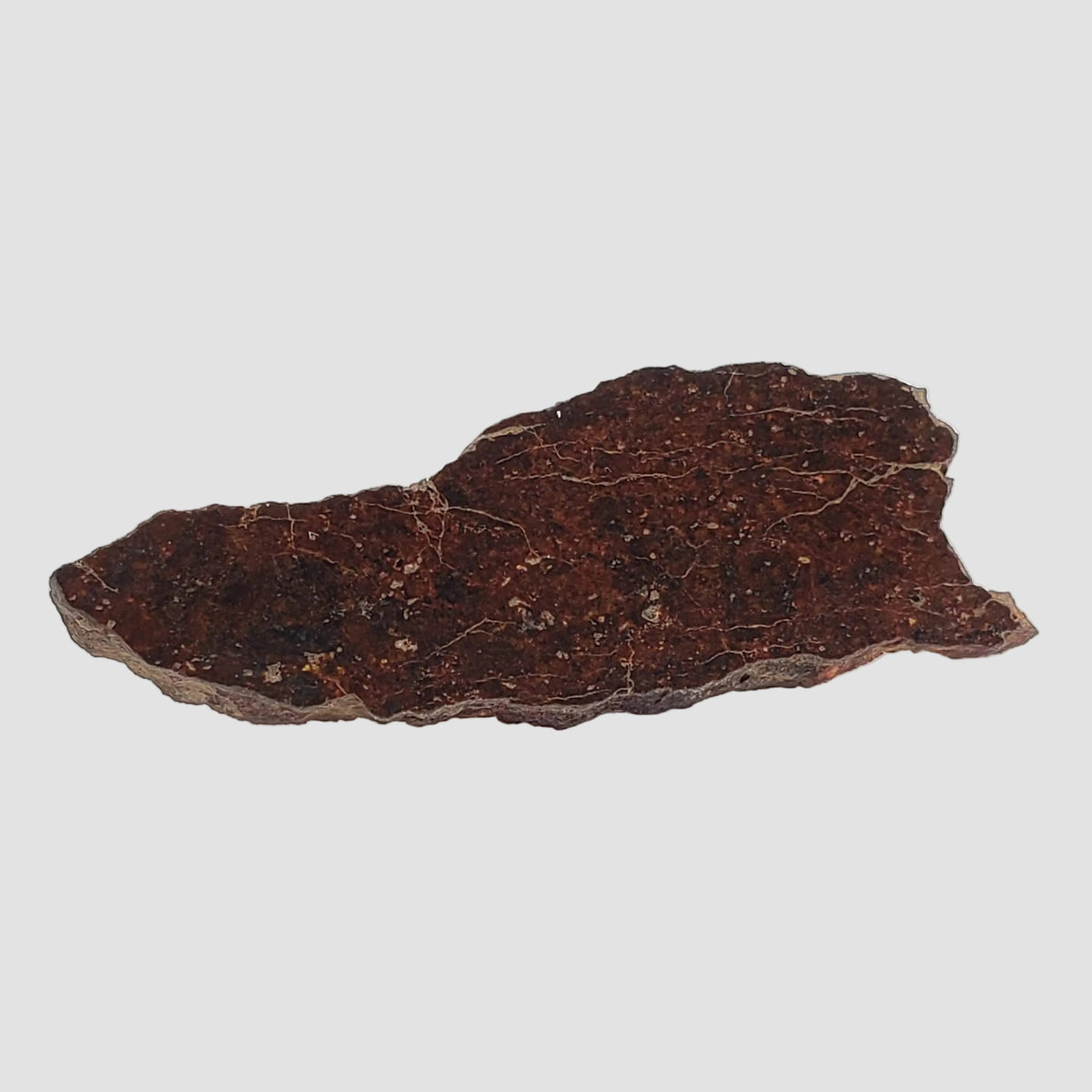  Shişr 010 Meteorite | 5.6 Grams | Slice | L5 Chondrite | Rare | Shişr Desert, Oman 1