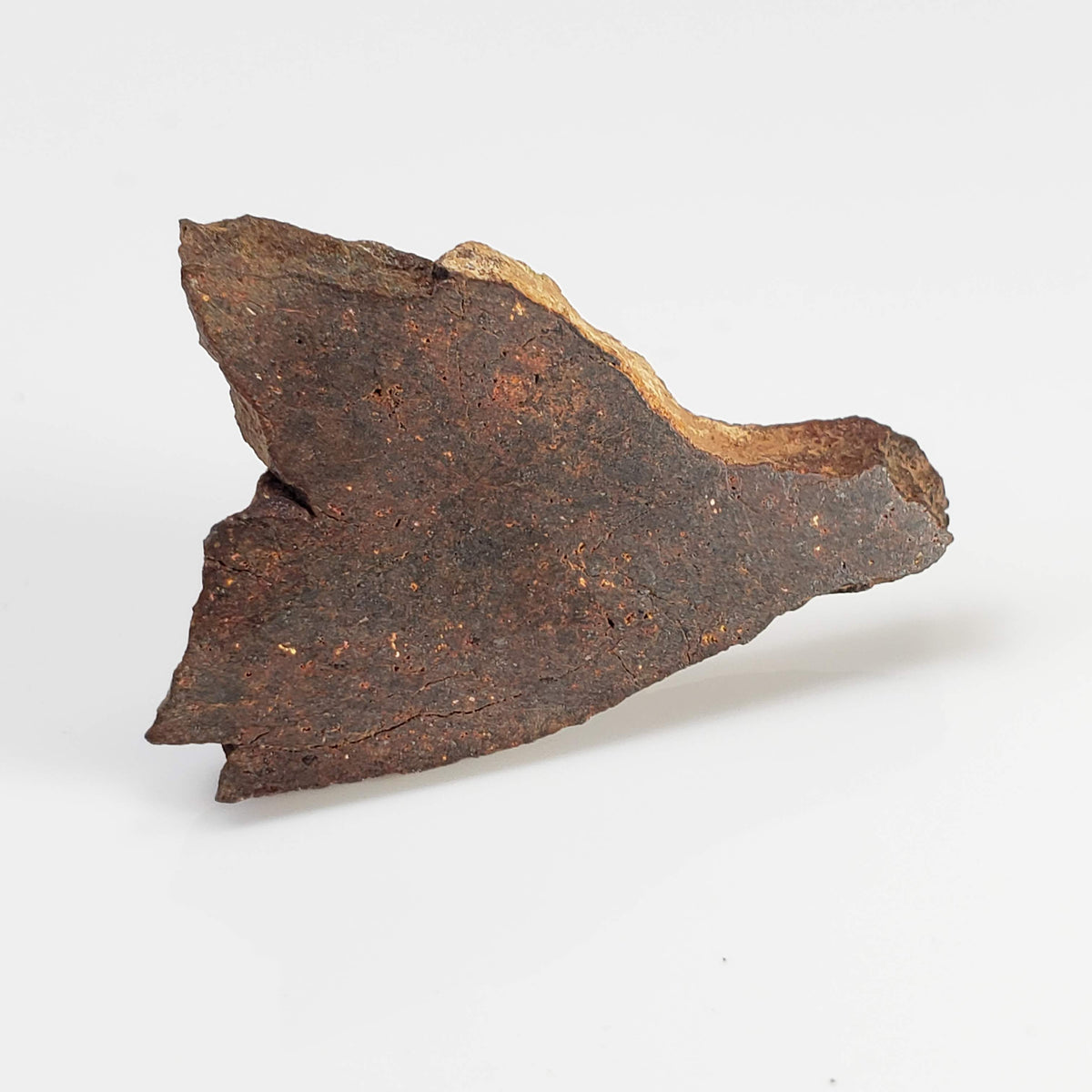  Shişr 010 Meteorite | 5.62 Grams | Slice | L5 Chondrite | Rare | Shişr Desert, Oman 3