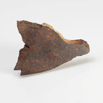  Shişr 010 Meteorite | 5.62 Grams | Slice | L5 Chondrite | Rare | Shişr Desert, Oman 3