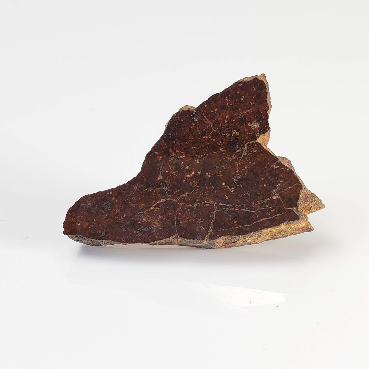  Shişr 010 Meteorite | 5.62 Grams | Slice | L5 Chondrite | Rare | Shişr Desert, Oman 2