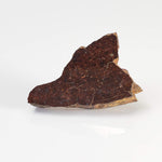  Shişr 010 Meteorite | 5.62 Grams | Slice | L5 Chondrite | Rare | Shişr Desert, Oman 2