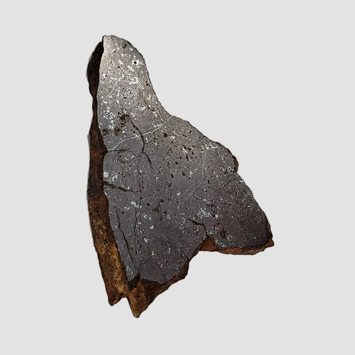  Shişr 010 Meteorite | 5.62 Grams | Slice | L5 Chondrite | Rare | Shişr Desert, Oman 4