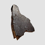  Shişr 010 Meteorite | 5.62 Grams | Slice | L5 Chondrite | Rare | Shişr Desert, Oman 4