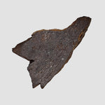  Shişr 010 Meteorite | 5.62 Grams | Slice | L5 Chondrite | Rare | Shişr Desert, Oman 5
