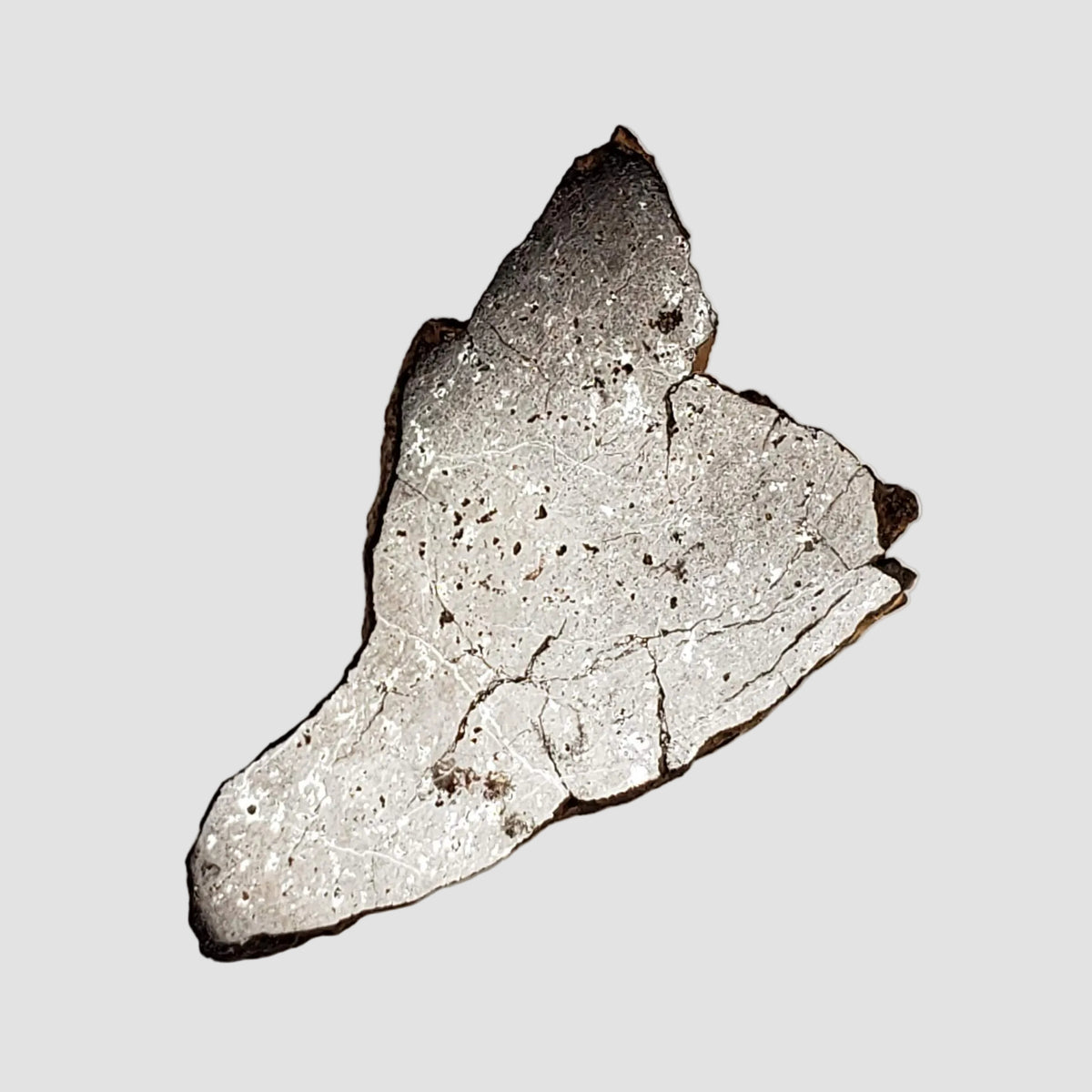  Shişr 010 Meteorite | 5.62 Grams | Slice | L5 Chondrite | Rare | Shişr Desert, Oman 6