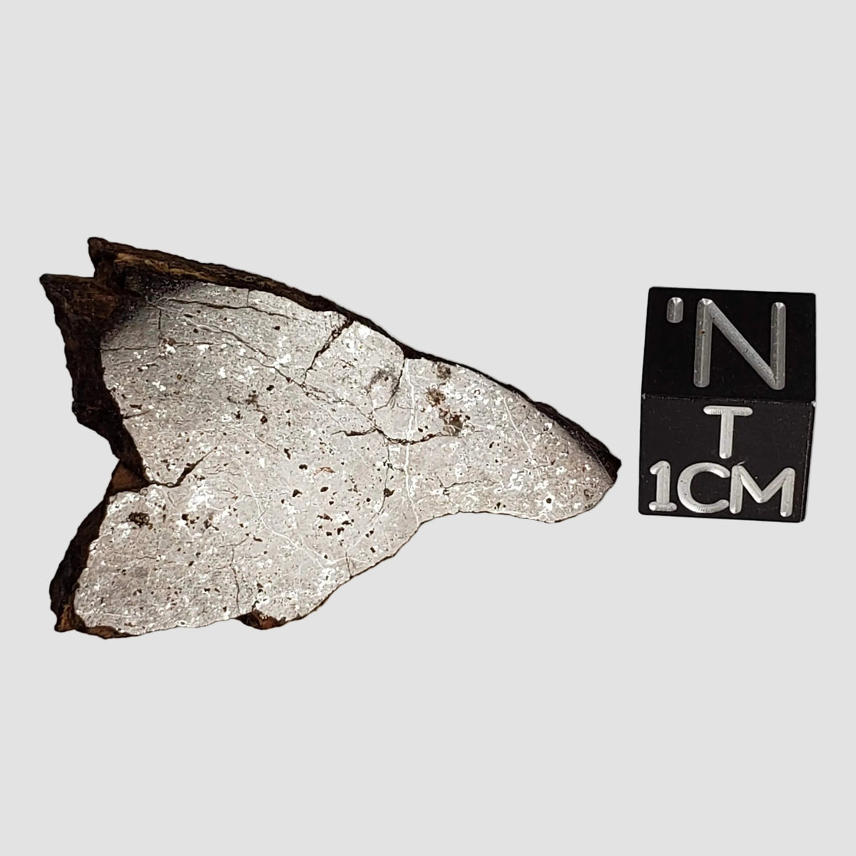  Shişr 010 Meteorite | 5.62 Grams | Slice | L5 Chondrite | Rare | Shişr Desert, Oman 