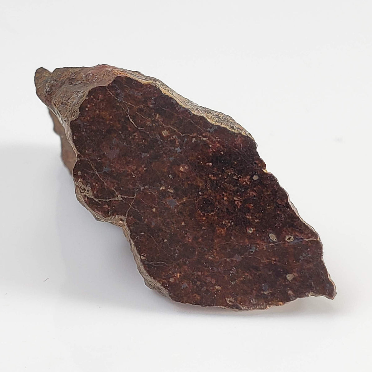 Shişr 010 Meteorite | 6.1 Grams | End Cut | L5 Chondrite | Rare | Shişr Desert, Oman 2