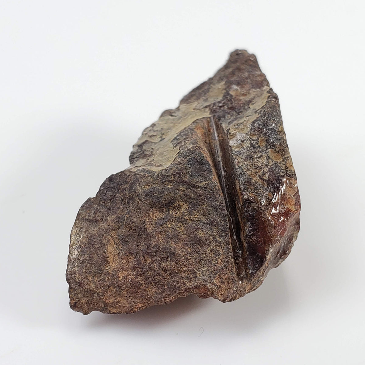 Shişr 010 Meteorite | 6.1 Grams | End Cut | L5 Chondrite | Rare | Shişr Desert, Oman 5