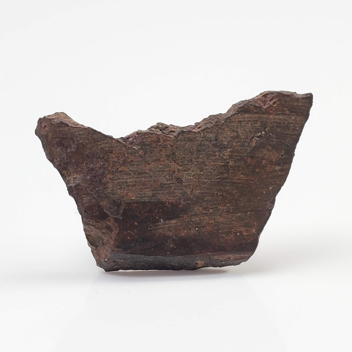  Shişr 010 Meteorite | 6.26 Grams | Slice | L5 Chondrite | Rare | Shişr Desert, Oman 2
