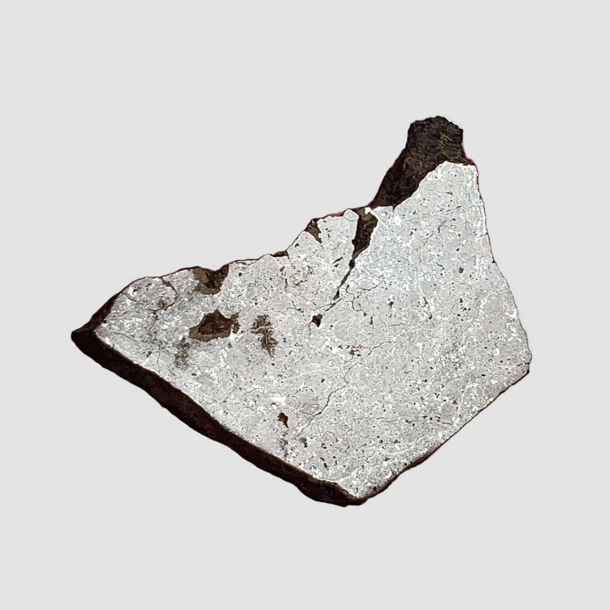  Shişr 010 Meteorite | 6.26 Grams | Slice | L5 Chondrite | Rare | Shişr Desert, Oman 3