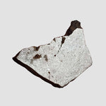  Shişr 010 Meteorite | 6.26 Grams | Slice | L5 Chondrite | Rare | Shişr Desert, Oman 3