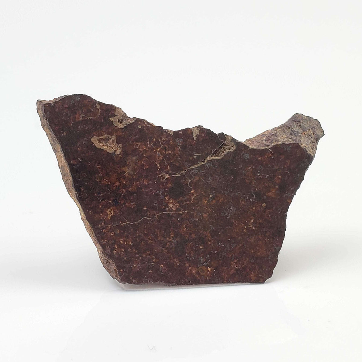  Shişr 010 Meteorite | 6.26 Grams | Slice | L5 Chondrite | Rare | Shişr Desert, Oman 1