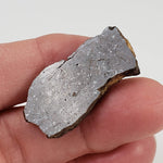  Shişr 010 Meteorite | 6.56 Grams | Slice | L5 Chondrite | Rare | Shişr Desert, Oman | SO24 1