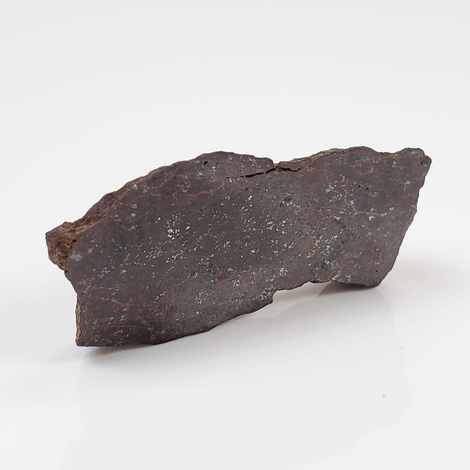  Shişr 010 Meteorite | 6.56 Grams | Slice | L5 Chondrite | Rare | Shişr Desert, Oman | SO24 3