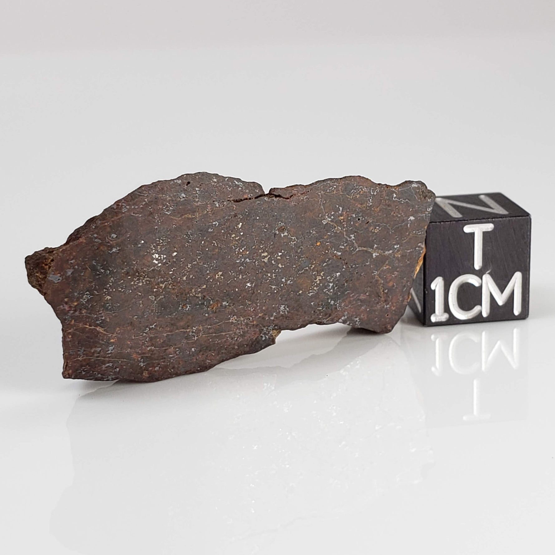  Shişr 010 Meteorite | 6.56 Grams | Slice | L5 Chondrite | Rare | Shişr Desert, Oman | SO24 
