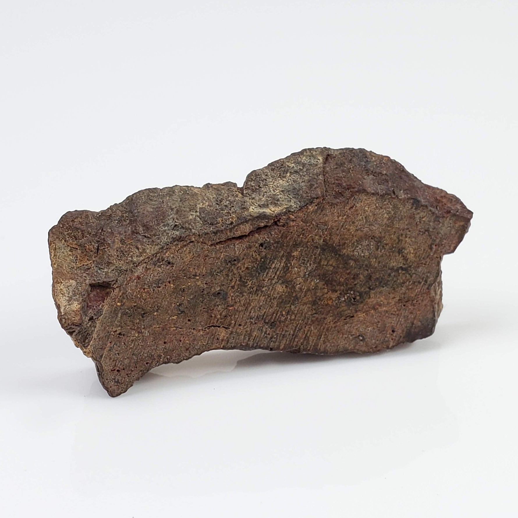  Shişr 010 Meteorite | 6.56 Grams | Slice | L5 Chondrite | Rare | Shişr Desert, Oman | SO24 4
