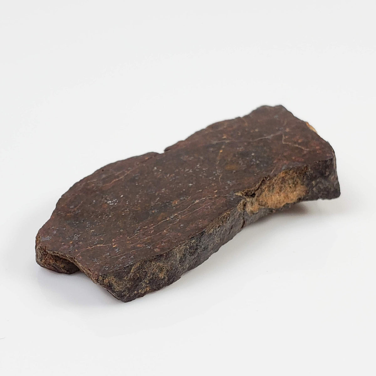  Shişr 010 Meteorite | 6.56 Grams | Slice | L5 Chondrite | Rare | Shişr Desert, Oman | SO24 5