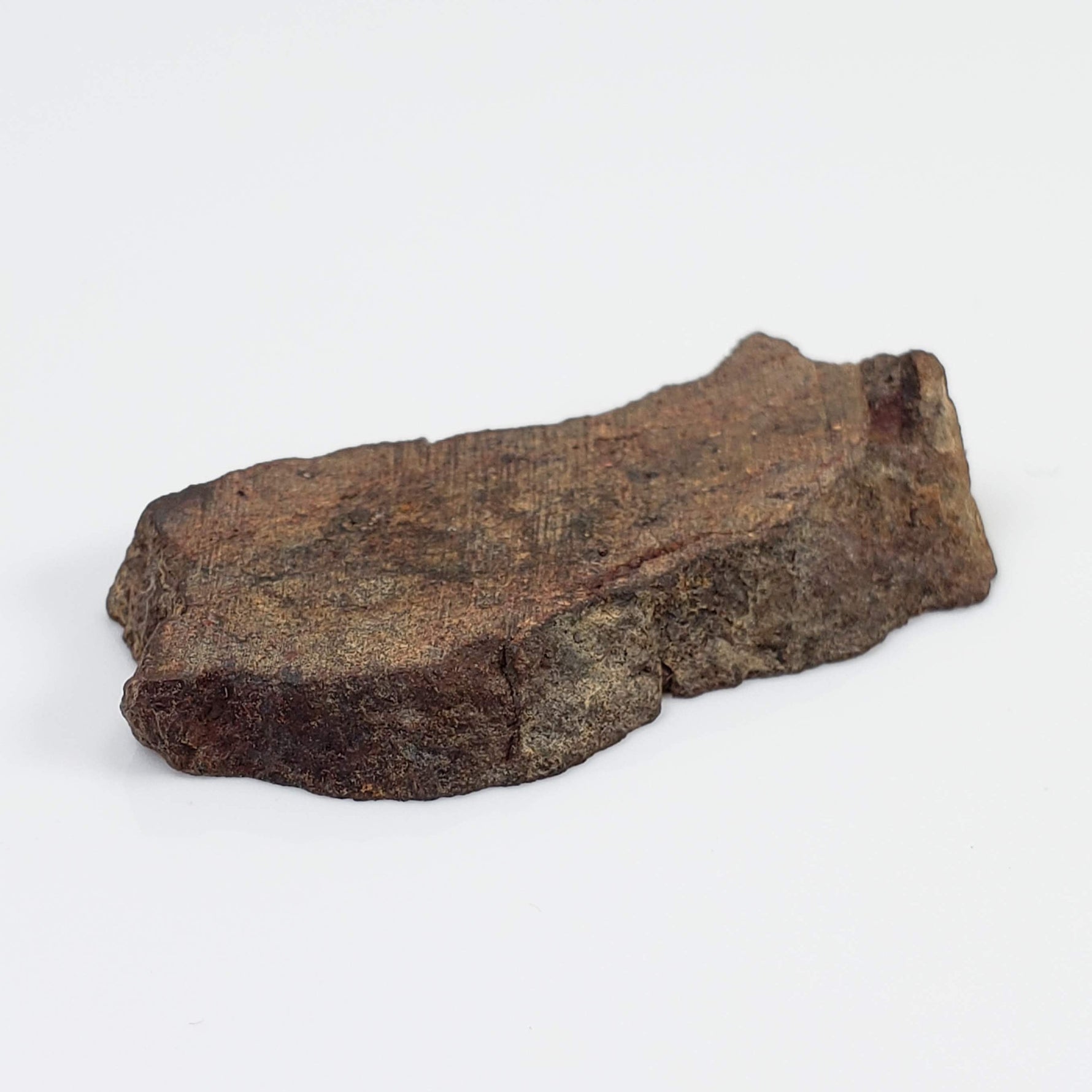  Shişr 010 Meteorite | 6.56 Grams | Slice | L5 Chondrite | Rare | Shişr Desert, Oman | SO24 6