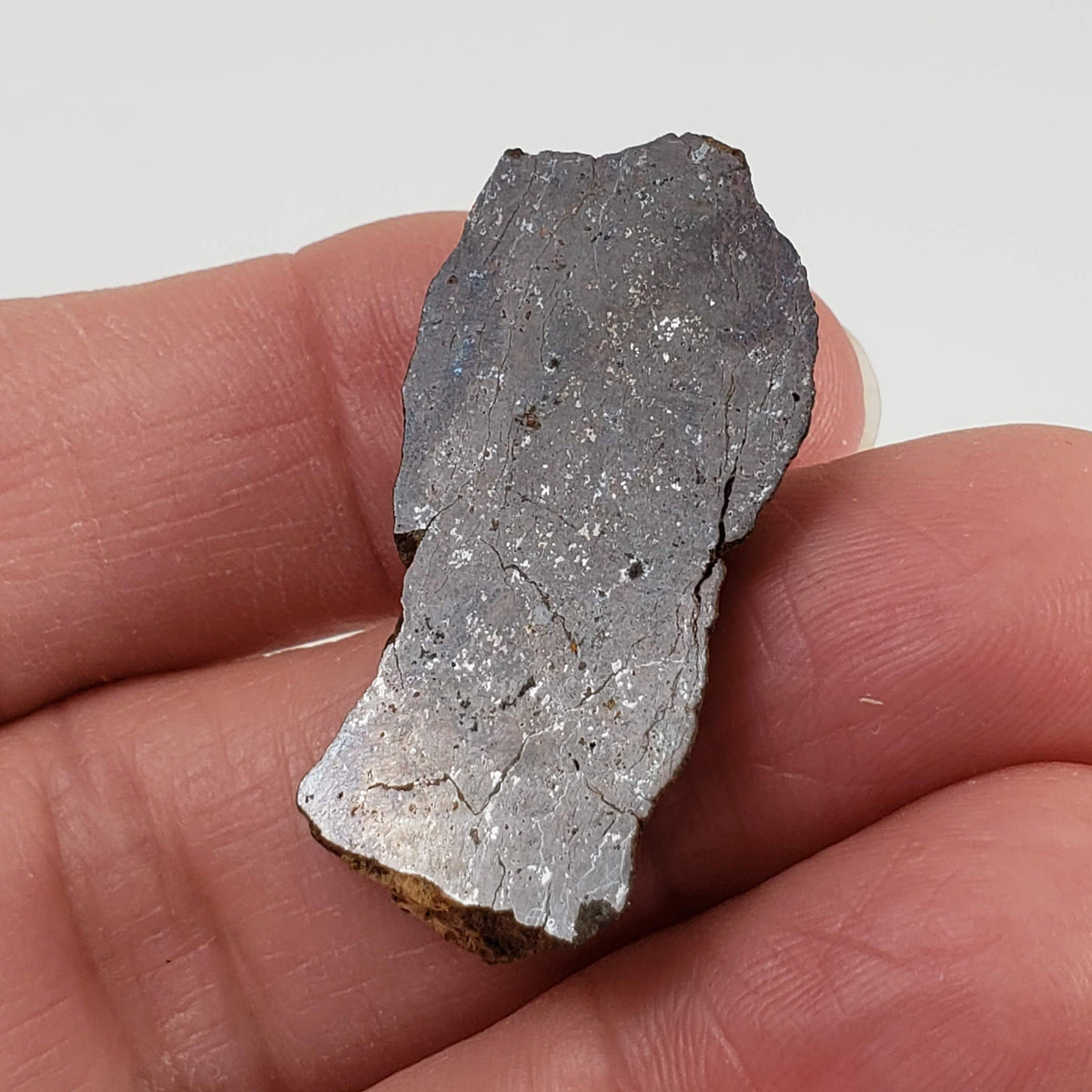  Shişr 010 Meteorite | 6.56 Grams | Slice | L5 Chondrite | Rare | Shişr Desert, Oman | SO24 2